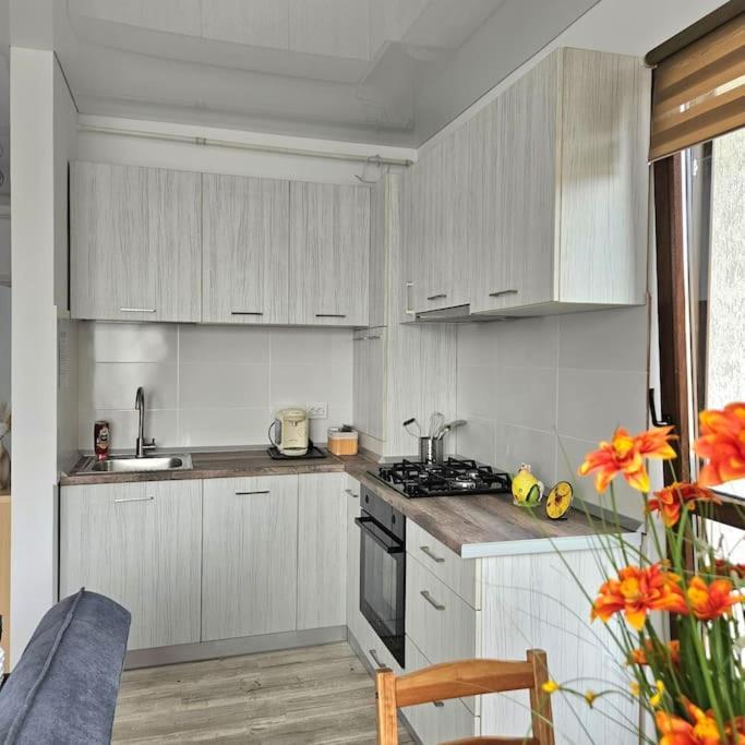 Cozy Sorada 2 Apartment Bragadiru Eksteriør bilde